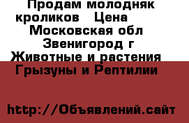 Продам молодняк кроликов › Цена ­ 350 - Московская обл., Звенигород г. Животные и растения » Грызуны и Рептилии   